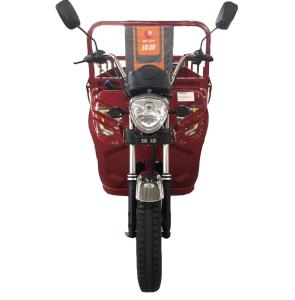 Wholesale Pedal 1.0m*3.1m 110cc 3 Wheel Trike Moped from china suppliers