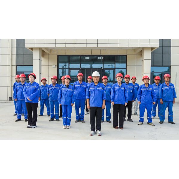 High Purity 98% min Calcium Formate Powder Best Flowing No Lumped REACH Certified for Animal Feed and Construction
