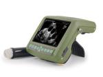 Digital Wrist Medical Usb Ultrasound Scanner For Animals Displaying Backfat