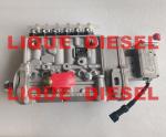 BYC 5318046 pump 5318046 original pump