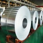 1000 Series 3000 Series 5000 Series 5052 5005 5083 6061 Aluminum Roll/coil