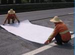 Polyester Felt Product White Filament Needle Punched Non Woven Geotextile Fabric