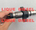 BOSCH Common Rail Injector 0445120273 0 445 120 273 445120273 5263307