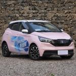 Stylish Look Big Capacity Electric Car EV3 Long Range High Speed Electric Car