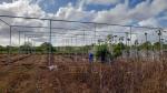 Polyethylene Film Steel Greenhouse with Shade Net and Insect Net
