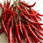 Chefs Delight Spicy Dried Birds Eye Chilli