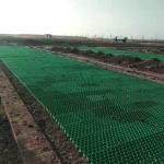 Black Green Plastic Grass Paver Grid Suitable for All Weather Conditions