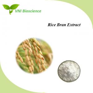 China Halal Plant Herbal Extract Anti Bacteria Rice Bran Extract Ferulic Acid 98% on sale
