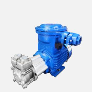 Wholesale Up To 200 Feet Head Magnetic Drive Centrifugal Pump For High Temperature Applications from china suppliers