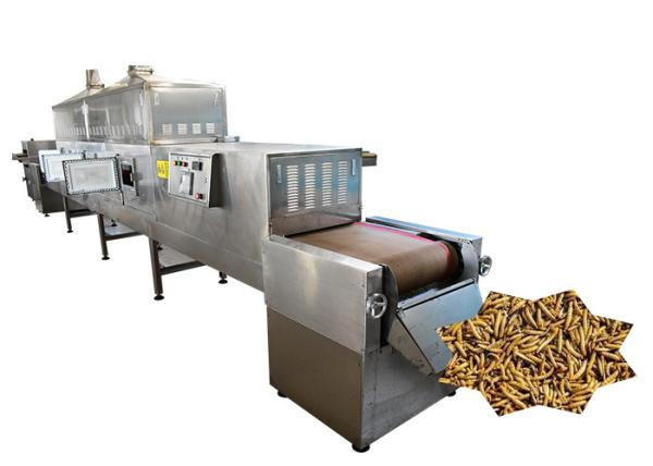 Digital Intelligent Black Soldier Fly Larvae Microwave Drying Machine Big