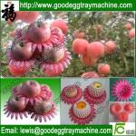 EPE Fruit tray for packing Apple