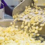 Leadworld Canned Fruit Production Line For Canning Pineapples