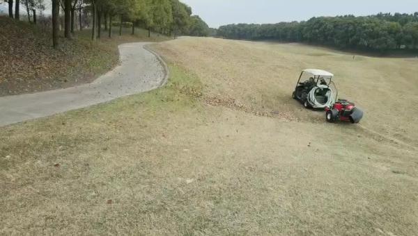 Golf Course Sundries Blower For Lawn Machinery