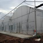 Long Life Span Heavy Duty Plastic Greenhouse High Large Size Available