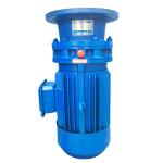 Transmission Inline Planetary Cycloidal Gear Reducer Motor For Construction