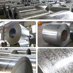 0.5*1250mm 0.8*1200mm Wide Hot Dip Galvanized Steel Coil