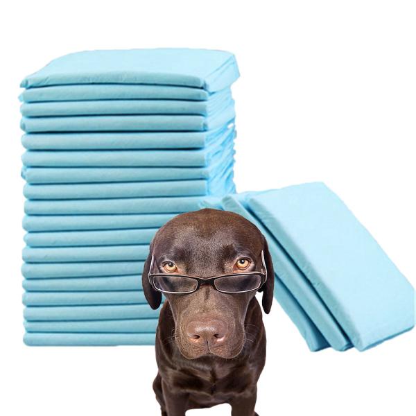 600X350 600X450 600X600 900X600 Leakproof Pet Training Pad with Sustainable