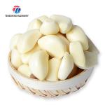 90KG 220V Stainless steel garlic shallot peeling machine peeling machine small