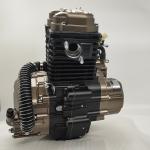 300cc Motorcycle Engine Assembly Single Cylinder Four Stroke Style