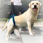 Nylon Pet Leg Support Belt Rear Leg Disability Injury High Aged Dog Stair