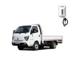 Mini Truck Electric Energy Vehicles 2024 2 Seats and 100% Electric Fuel by Feidi