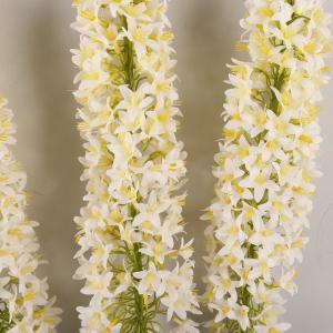 Wholesale Decoration Fox Tail Grass Simulation Flower Home Living Room Ponytail Flower Flying Swallow Grass Flower Arrangement Wedding Simulation Fox Tail Grass from china suppliers