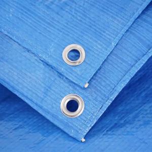 China Heavy Weight PE Tarpaulin Fabric Tarp With Eyelets Blue Dust Resistant Boat Cover on sale