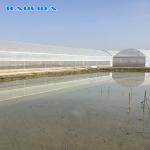 8-60m Length High Tunnel Plastic Film Greenhouse Customizable Size For