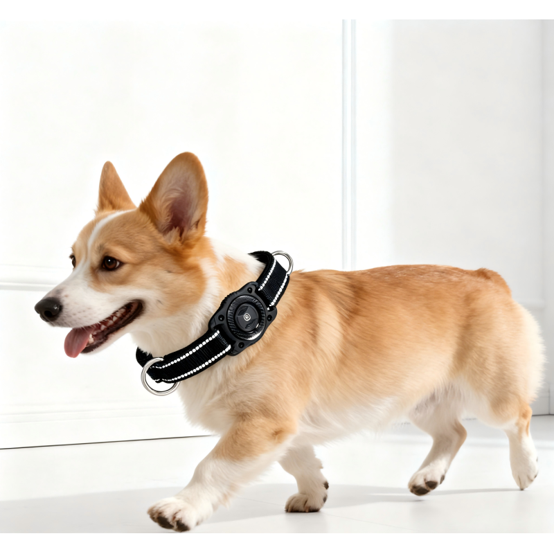 Durable Plastic GPS Navigator Dog Collar Waterproof Reflective Real-Time Tracking Soft Padded Adjustable
