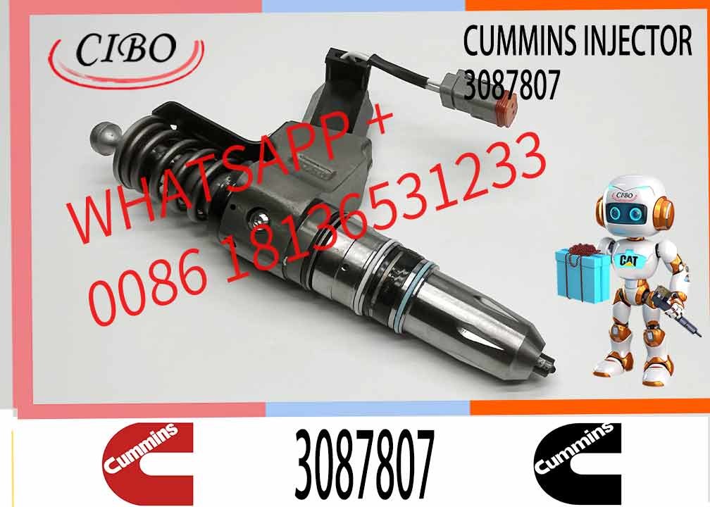 Common Rail Diesel Fuel Injector 3411764 3087733 3409975 4307795 3411760 6087807 3087807 For Cummins QSN14 N14