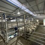 Digital Electric Meter Sheep Goat Milking Parlour New Condition Equipment