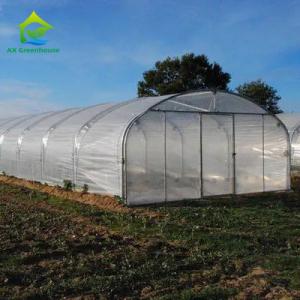 Wholesale High Strength Easy Installation Poly Tunnel Greenhouse Insect Prevention Increase Production from china suppliers