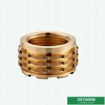 Ppr Fittings Male Inserts Brass Inserts Germany Designs Heavier Types