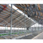 Easy Install Prefab Barns And Sheds , Metal Cattle Shed Construction
