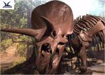 Amusement Park Facility Life Size Dinosaur Skeleton Replica Artificial Replica