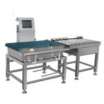 Vertical High 750±50MM Conveyor Weight Checker Small Tunnel Size