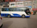 39 Seats Used Yutong ZK6908 Bus Used Coach Bus 2010 Year Steering LHD Diesel