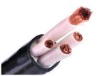 Low Voltage XLPE Insulated Power Cable IEC 60228 Class 5 Copper Conductor PVC