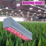 2.9μmol/J Greenhouse LED Grow Lights 600w High Efficacy For Plants