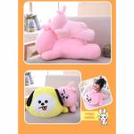 Crystal Velvet Plush Toy Pillow Cartoon Shape Printed Logo 100 - 300G