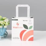Takeaway Mini White Kraft Paper Bag With Logo for Custom Print Shopping Gift