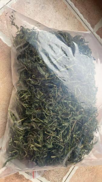 Natural Sweet Tea Dried Raspberry Leaves Fu Peng Zi Ye Wholesale Chinese Herbal