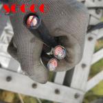 600V 2586 RRU Power Cable D Type 2x10AWG / 2x6mm² Shield For Outdoor