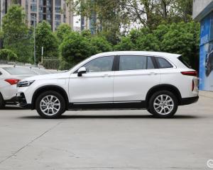 Wholesale Raysince good quality electric suv vehicle wholesales cheap price China electric vehicle new suv from china suppliers