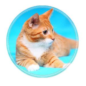 Wholesale Natural Rubber Round Drink Coasters Modern Style Pattern Design from china suppliers