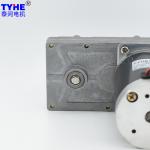 TYHE 200kg.Cm Flat DC Motor High Torque 12V 24V 75W For Valve