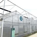 Tropical Climate Custom Size Poly Tunnel Plastic Film Agricultural Sawtooth