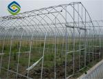1.5m Plastic Shed Single Tunnel Greenhouse For Vegetables
