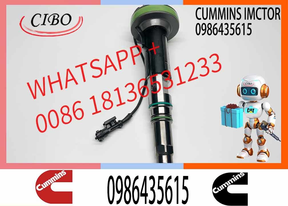 Diesel INJECTOR Parts QSK19 Fuel Injector 2867149 0986435614 2882079 0986435615 Injector Nozzle 2867149