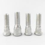 Wheel Stud M12x1.5 Wheel Nut Hub Nut 10.9 Grade C00028625 C0008849 Suitable For
